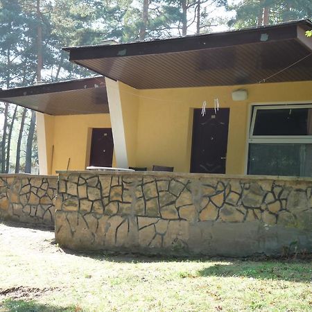 Osrodek Wypoczynkowy Jelonek Hotel Wolsztyn Bagian luar foto